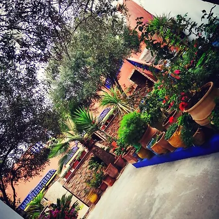 Dar Ezzitouna Appartement Oualidia Buitenkant foto