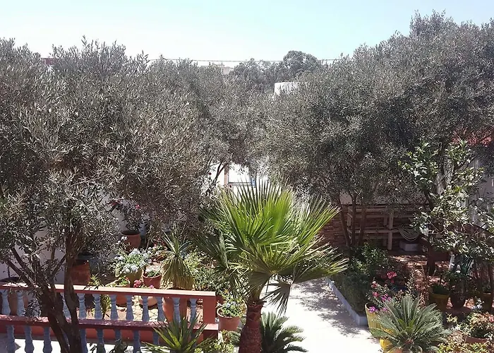 Dar Ezzitouna