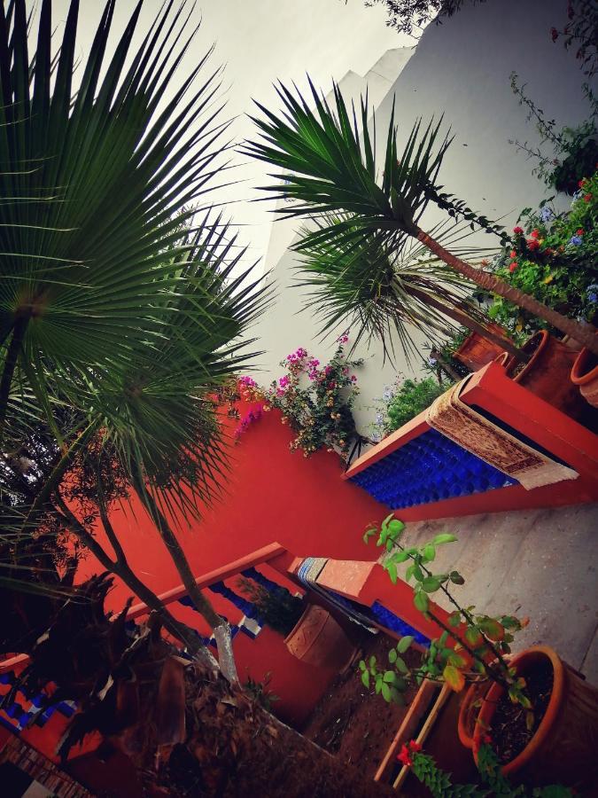 Apartment Dar Ezzitouna Oualidia