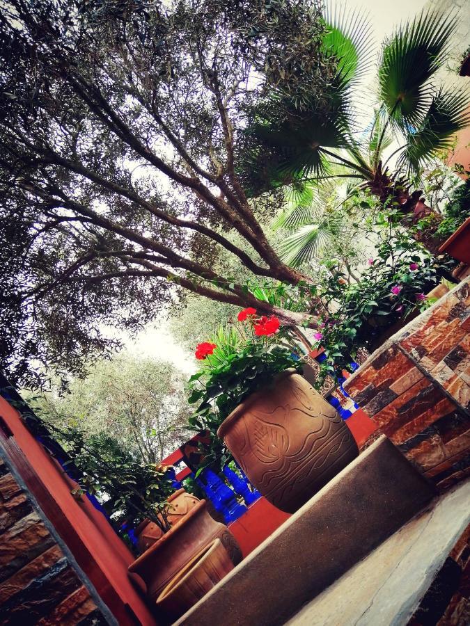Dar Ezzitouna Apartment *