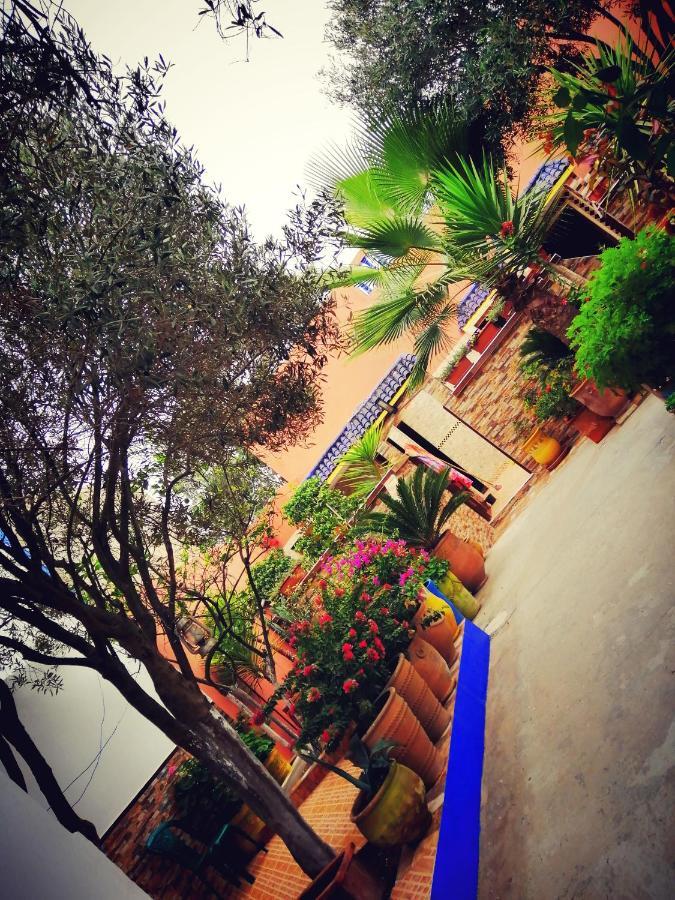 Dar Ezzitouna *