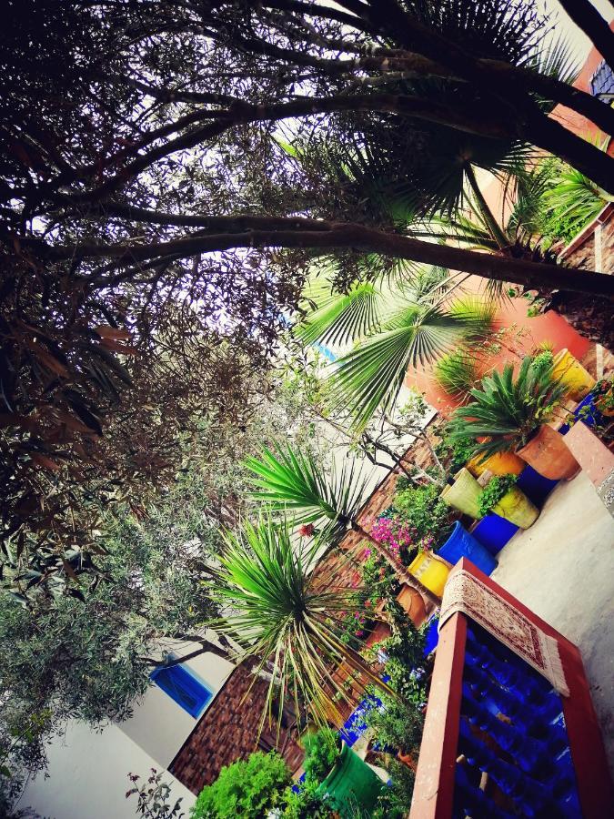 Dar Ezzitouna Apartment Oualidia