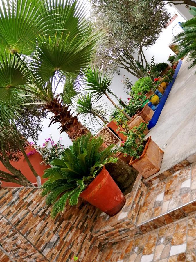Dar Ezzitouna Apartment